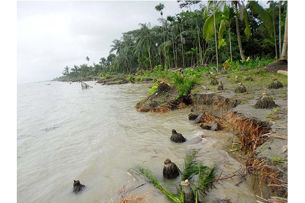 তীর সংরক্ষণ কাজে ধীরগতি : লক্ষ্মীপুরে মেঘনার অব্যাহত ভাঙনে বাস্তুহারা পাড়ের মানুষ
